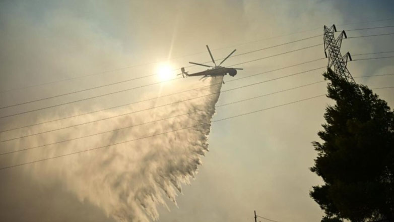 Υπό έλεγχο η φωτιά στη Μικρά Σάντα Ημαθίας