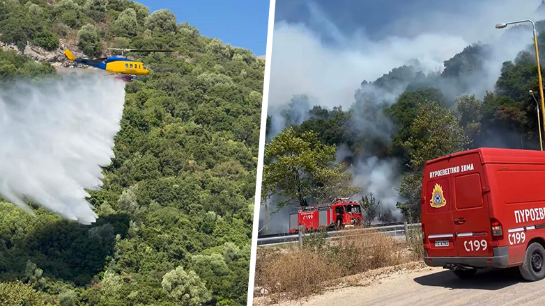 Έσβησε η φωτιά στη Γλυκή Θεσπρωτίας