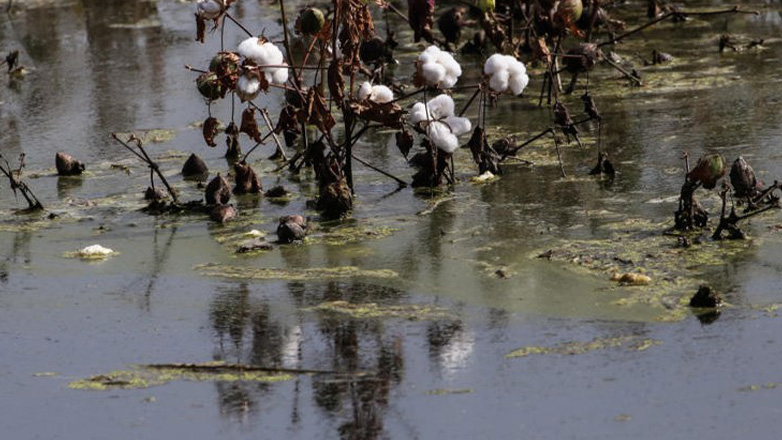 Υπουργείο Αγροτικής Ανάπτυξης: Αποζημιώσεις 12 εκατ. ευρώ για πλημμυρισμένα χωράφια με «φερτά» υλικά