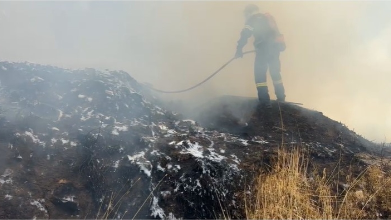Φωτιά ξέσπασε στα Αλυφαντά Λέσβου