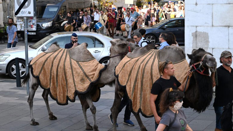 Καμήλες στους δρόμους της Βουδαπέστης σε μια κινητοποίηση ευαισθητοποίησης για την ξηρασία Καμήλες στους δρόμους της Βουδαπέστης σε μια κινητοποίηση ευαισθητοποίησης για την ξηρασία
