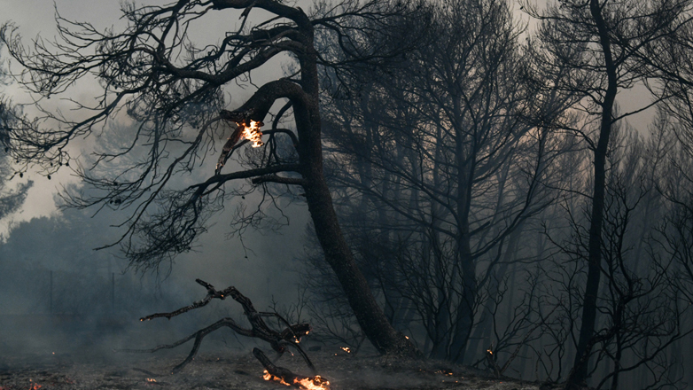Καλύτερη η εικόνα στην πυρκαγιά στη Σαμοθράκη Καλύτερη η εικόνα στην πυρκαγιά στη Σαμοθράκη