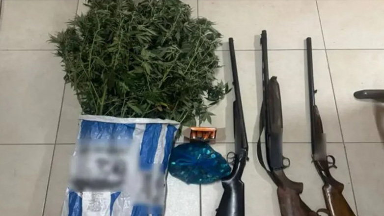 Ζάκυνθος: Συνελήφθη 51χρονος για καλλιέργεια δενδρυλλίων κάνναβης