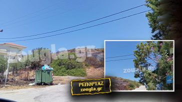 Νέα αποκάλυψη της «Ζούγκλας» για τις ενδείξεις εμπρησμού στην πυρκαγιά της Αναβύσσου