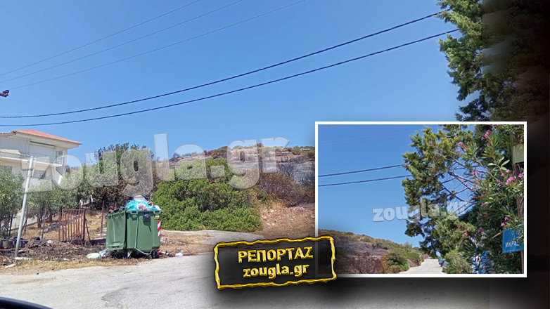 Νέα αποκάλυψη της «Ζούγκλας» για τις ενδείξεις εμπρησμού στην πυρκαγιά της Αναβύσσου