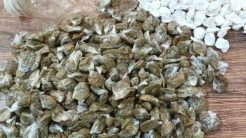 «Λαυράκια» έβγαλε η ερευνά των αστυνομικών στις φυλακές Χανίων