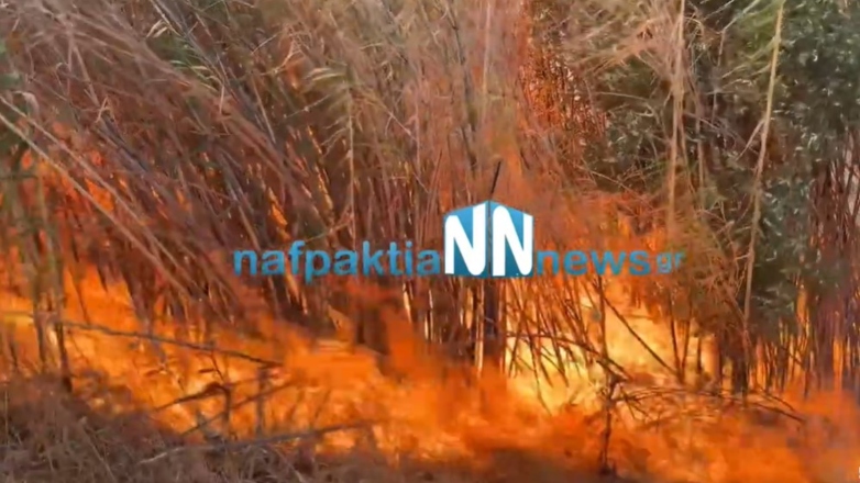 Φωτιά στο Γαλατά Αιτωλοακαρνανίας