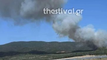 Φωτιά στη Βόλβη Θεσσαλονίκης