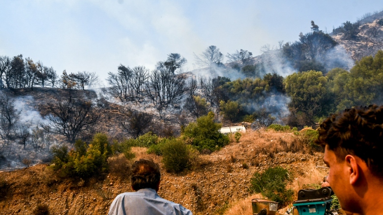 Πυρ ομαδόν της αντιπολίτευσης κατά της κυβέρνησης για τις πυρκαγιές