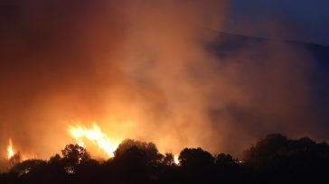 Ολονύχτια μάχη με τις φλόγες στην Πρέβεζα
