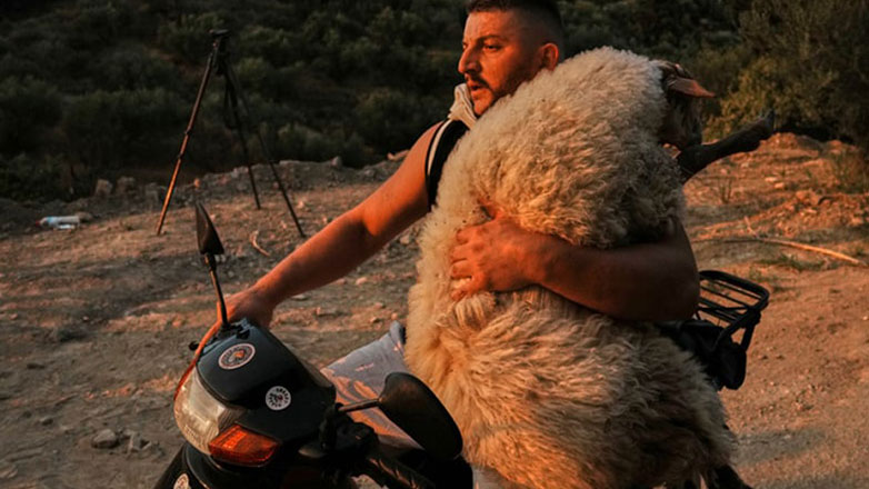 Αχαΐα – Εικόνες που συγκλονίζουν: Παίρνουν αγκαλιά τα ζωντανά τους για να τα σώσουν