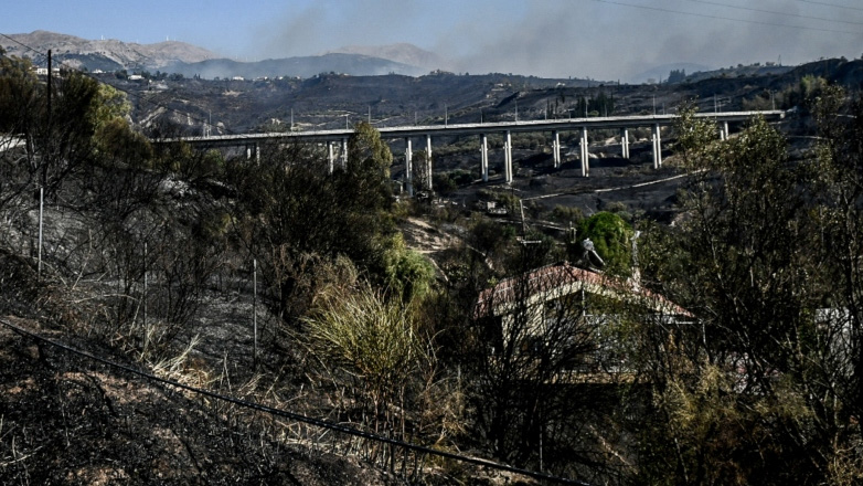 Γιάννης Λύρας για τον πύρινο εφιάλτη: «Κραυγάζει η φύση, ματώνει η ψυχή»
