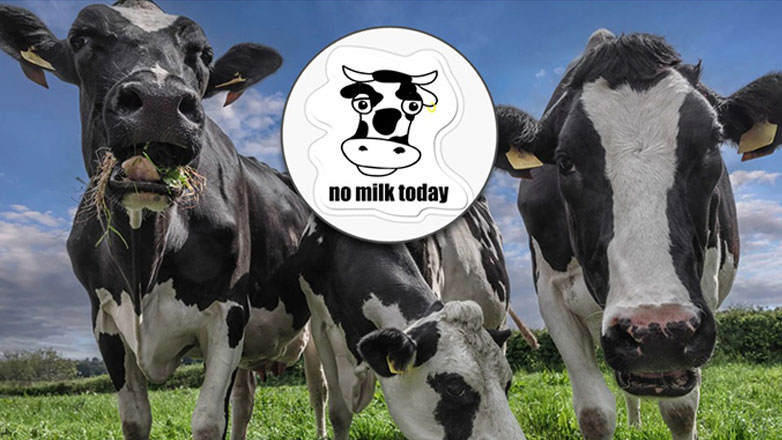 «No milk today»: Οι γαλακτοκομικοί κτηνοτρόφοι εγκαταλείπουν το επάγγελμα