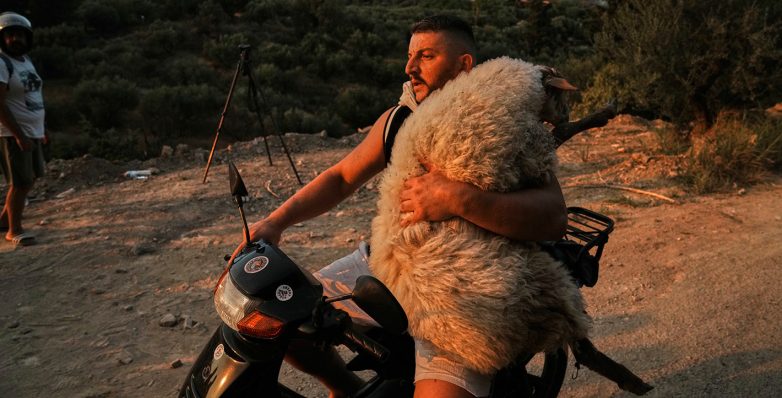 Συγκινητικό στιγμιότυπο από την πυρκαγιά στην Πάτρα Συγκινητικό στιγμιότυπο από την πυρκαγιά στην Πάτρα