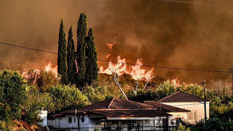 Πολύ υψηλός κίνδυνος πυρκαγιάς σήμερα σε Αττική και άλλες 4 περιφέρειες της χώρας