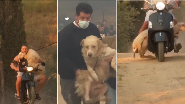 Πώς σώθηκαν η «Μέλπω» και ο «Χαλβάς» από την πύρινη λαίλαπα