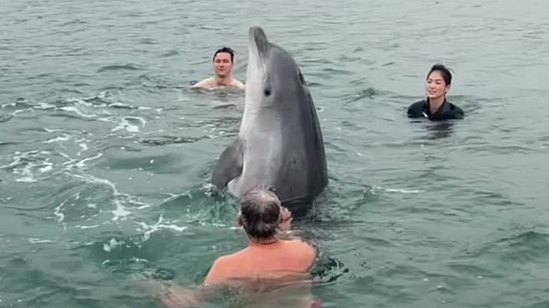 Η όμορφη στιγμή που δελφίνι κάνει μπάνιο μαζί με μια οικογένεια