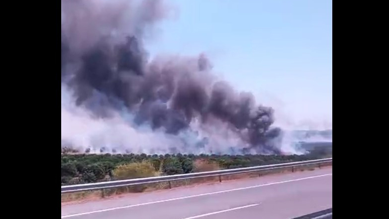 Φωτιά στην Ιόνια Οδό στο ύψος του Αγρινίου