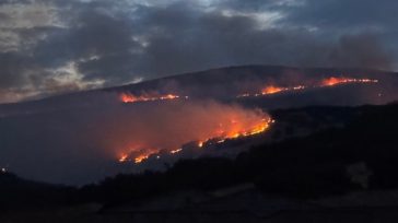 Ολονύχτια μάχη με τις φλόγες στο Δαμάσι Λάρισας