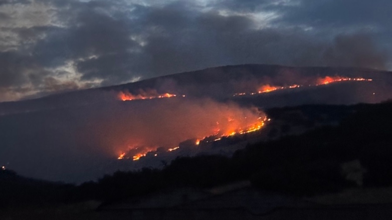 Ολονύχτια μάχη με τις φλόγες στο Δαμάσι Λάρισας