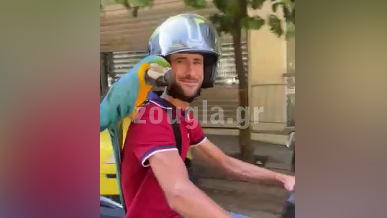 Βόλτα στο κέντρο της Αθήνας με έναν… παπαγάλο