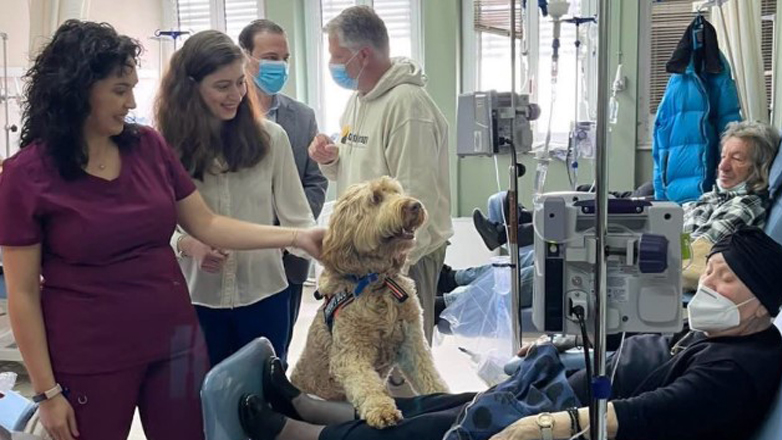 Σκύλοι θεραπείας στο πλευρό των ογκολογικών ασθενών στο νοσοκομείο Μεταξά