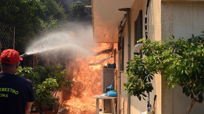 Πυρκαγιές: Ολοκληρώθηκαν οι αυτοψίες σε Αχαΐα, Πρέβεζα, Άρτα και Ζάκυνθο