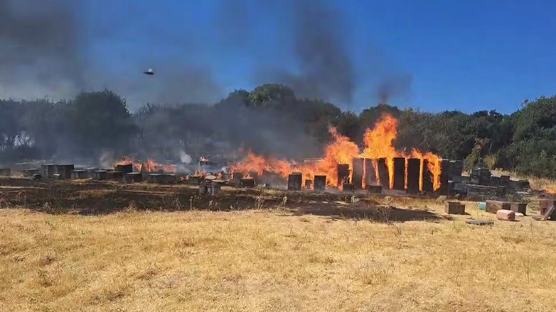 Θεσσαλονίκη: Σύλληψη μελισσοκόμου για τη φωτιά στους πρόποδες του Χορτιάτη
