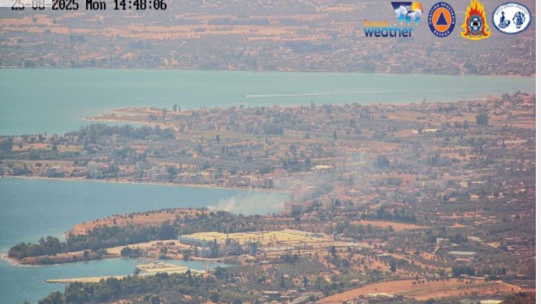 Λευκαντί: Πολίτες παρέδωσαν στις Αρχές 14χρονο που πέταξε κροτίδα και ξέσπασε πυρκαγιά