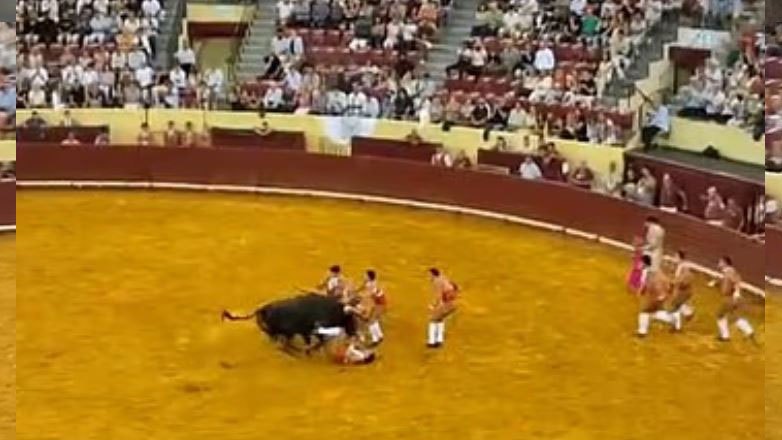 Τραγωδία στην αρένα της Λισαβόνας: Θάνατος 22χρονου ταυρομάχου σε αγώνα ζωής και θανάτου