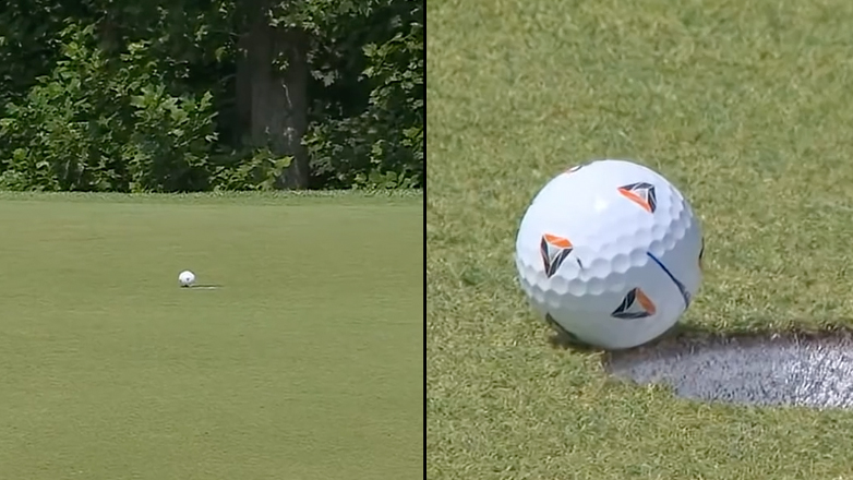 Μύγα βοηθάει παίκτη του γκολφ και κερδίζει 728.000 δολάρια