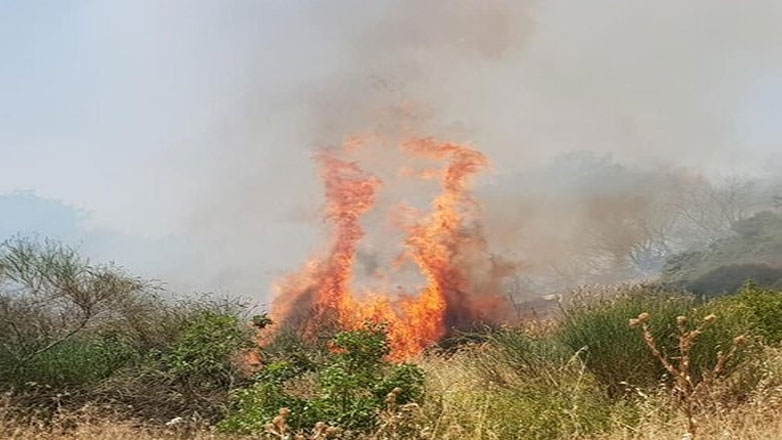 Καστοριά: Πυρκαγιά στην περιοχή Κομνηνάδες