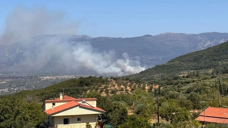Φωτιά στον Μελιγαλά Μεσσηνίας – Μήνυμα από το 112