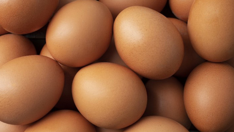 Τι λέει ο καθηγητής Ν. Θωμαΐδης για τις απαγορευμένες ουσίες που εντοπίστηκαν σε αυγά