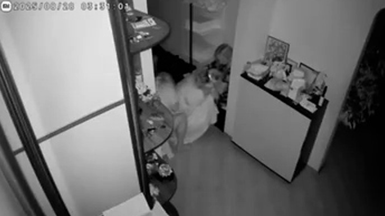 Βίντεο από σπίτι οικογένειας στο Κίεβο την ώρα που πέφτουν οι ρωσικές βόμβες