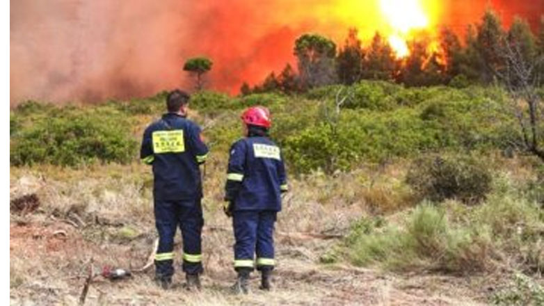 Ιωάννινα: Φωτιά στη Λάιστα Ζαγορίου