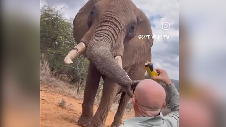 Κένυα: Τουρίστας έδωσε μπίρα σε ελέφαντα σε προστατευόμενο καταφύγιο