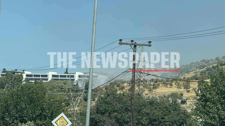 Συνελήφθη 49χρονος για πρόκληση πυρκαγιάς σε οικοπεδικό χώρο στον Βόλο