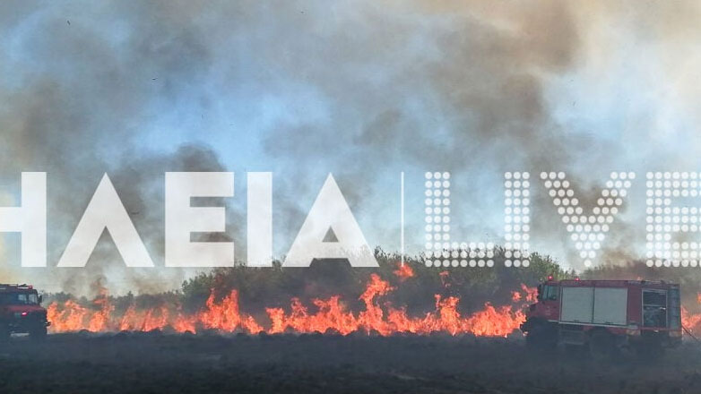 Ηλεία: Φωτιά σε δασική έκταση