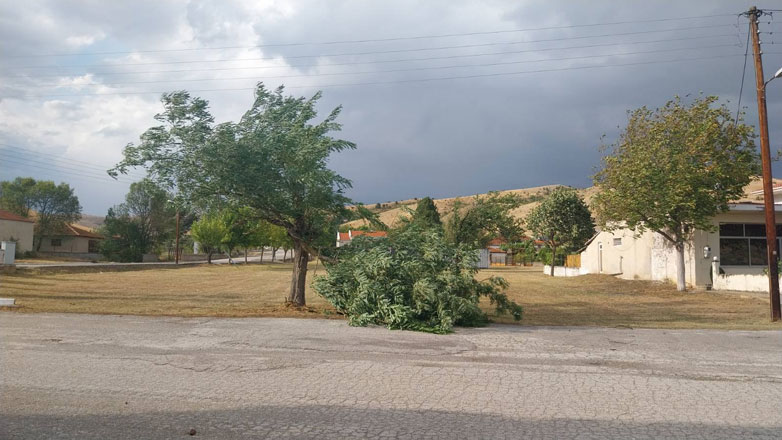 Ισχυροί άνεμοι, φωτιές και πτώσεις δέντρων πλήττουν τη Δυτική Ελλάδα