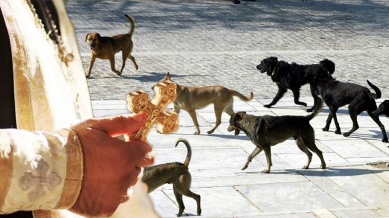 Ζωγράφου: Σκυλιά επιτέθηκαν σε ιερέα  και παπαδιά