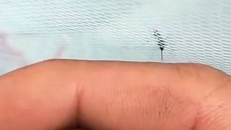 Καταστρέφοντας τις ελπίδες ενός κουνουπιού