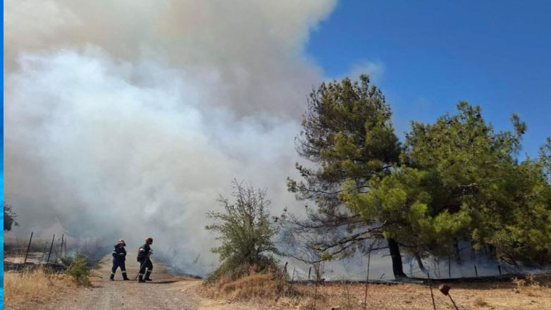 Μυτιλήνη: Φωτιά με δύο εστίες σε δασική έκταση – Ήχησε το 112