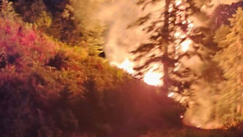 Ευρυτανία: Πυρκαγιά στην περιοχή Κερασοχώρι