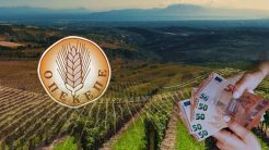 ΟΠΕΚΕΠΕ: Τα σόγια της Κρήτης και η «αγρότισσα» του 1 εκατ. ευρώ