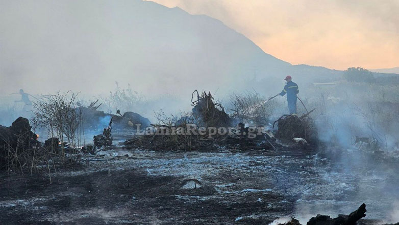 Πυρκαγιά σε καλαμιές στην Ανθήλη Λαμίας