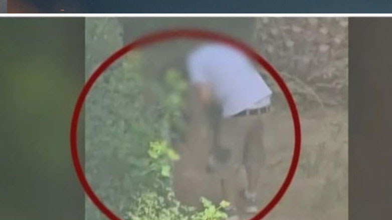 Πεύκη: Άνδρας εκπαιδεύει κυνηγόσκυλα για να σκοτώνουν γατάκια