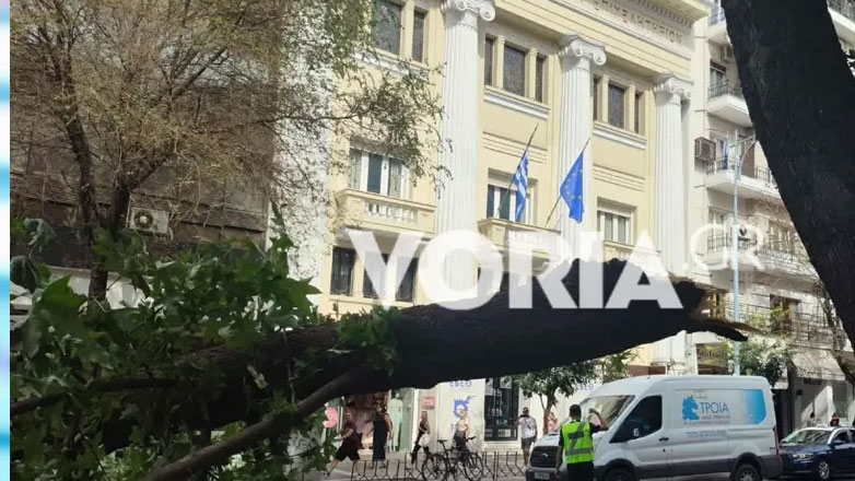 Θεσσαλονίκη: Τεράστιο κλαδί δέντρου κατέρρευσε σε κεντρικό δρόμο