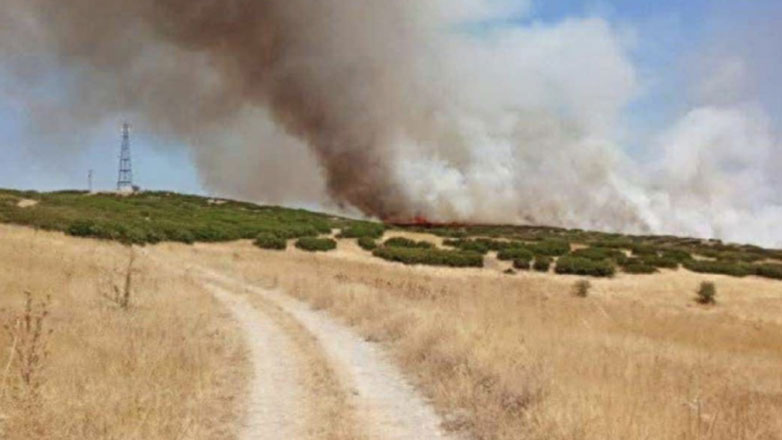 Φάρσαλα: Σε εξέλιξη διπλό πύρινο μέτωπο