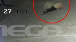 Βίντεο – Σοκ: Η στιγμή που ο 20χρονος χτυπάει με την Mercedes AMG τον αστυνομικό